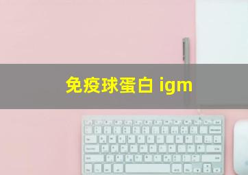 免疫球蛋白 igm